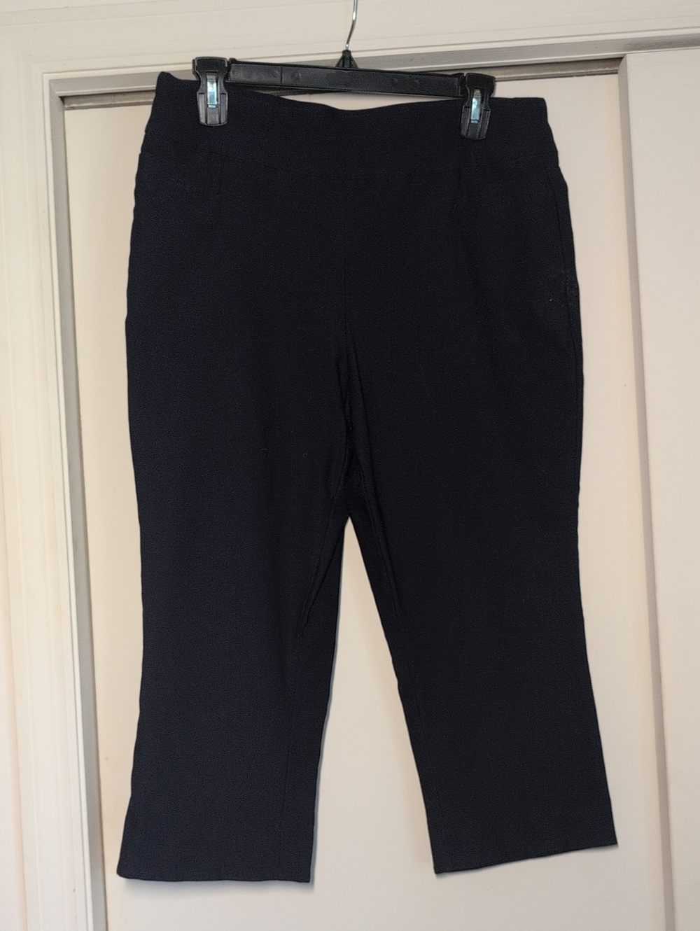 Kim Rogers Navy Cropped Pull-On Ankle Pants Size 14 Tummy Control